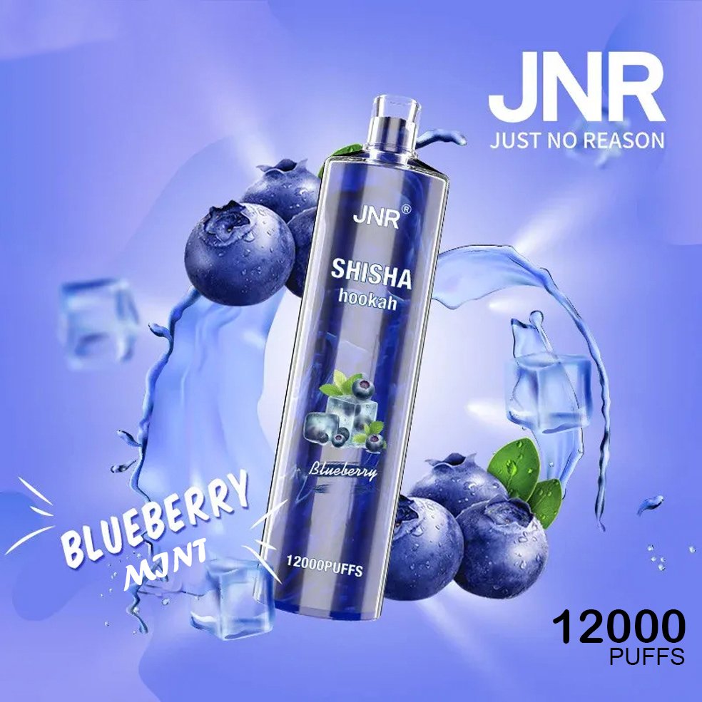 jnr shisha hookah – blueberry mint – 12000 puffs