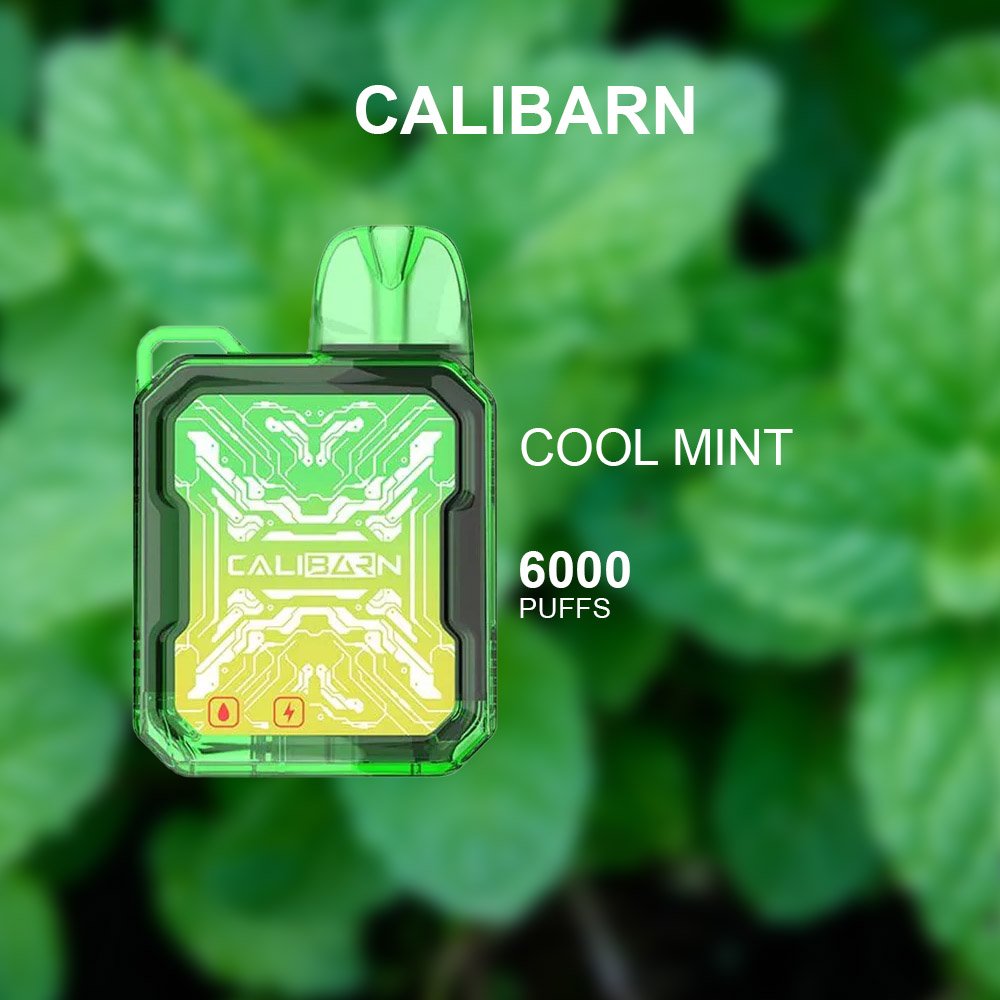 calibarn cool mint – 6000 puffs